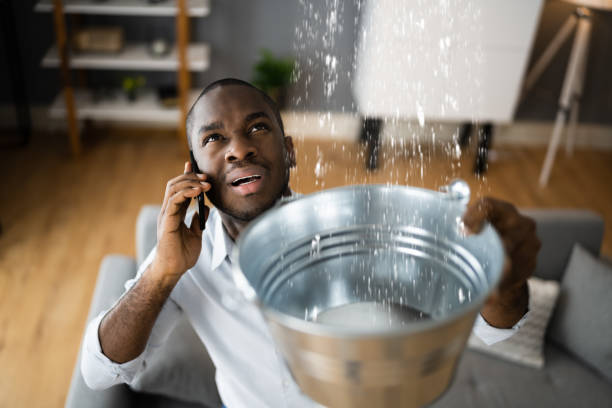 Best Flood restoration services  in Cheboygan, MI