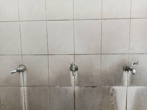 Best Fire Damage Restoration  in Cheboygan, MI