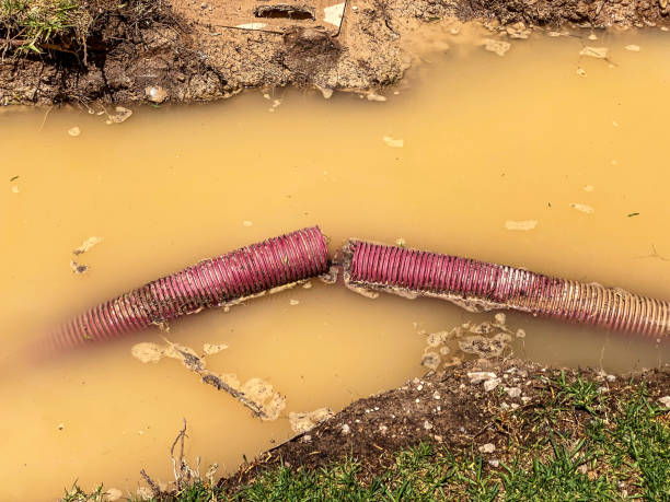Best Flooded house restoration  in Cheboygan, MI