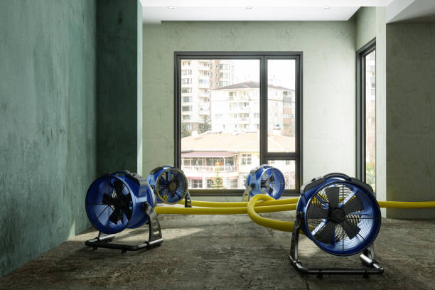 Best Water damage restoration experts  in Cheboygan, MI